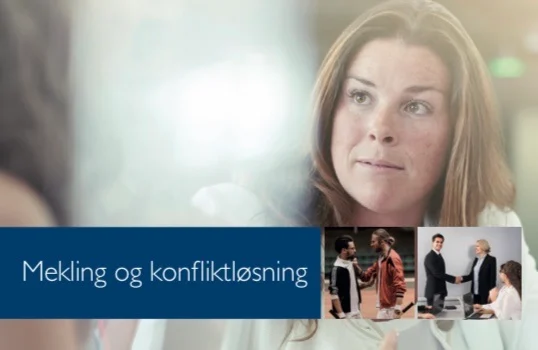 Mekling og konfliktløsning